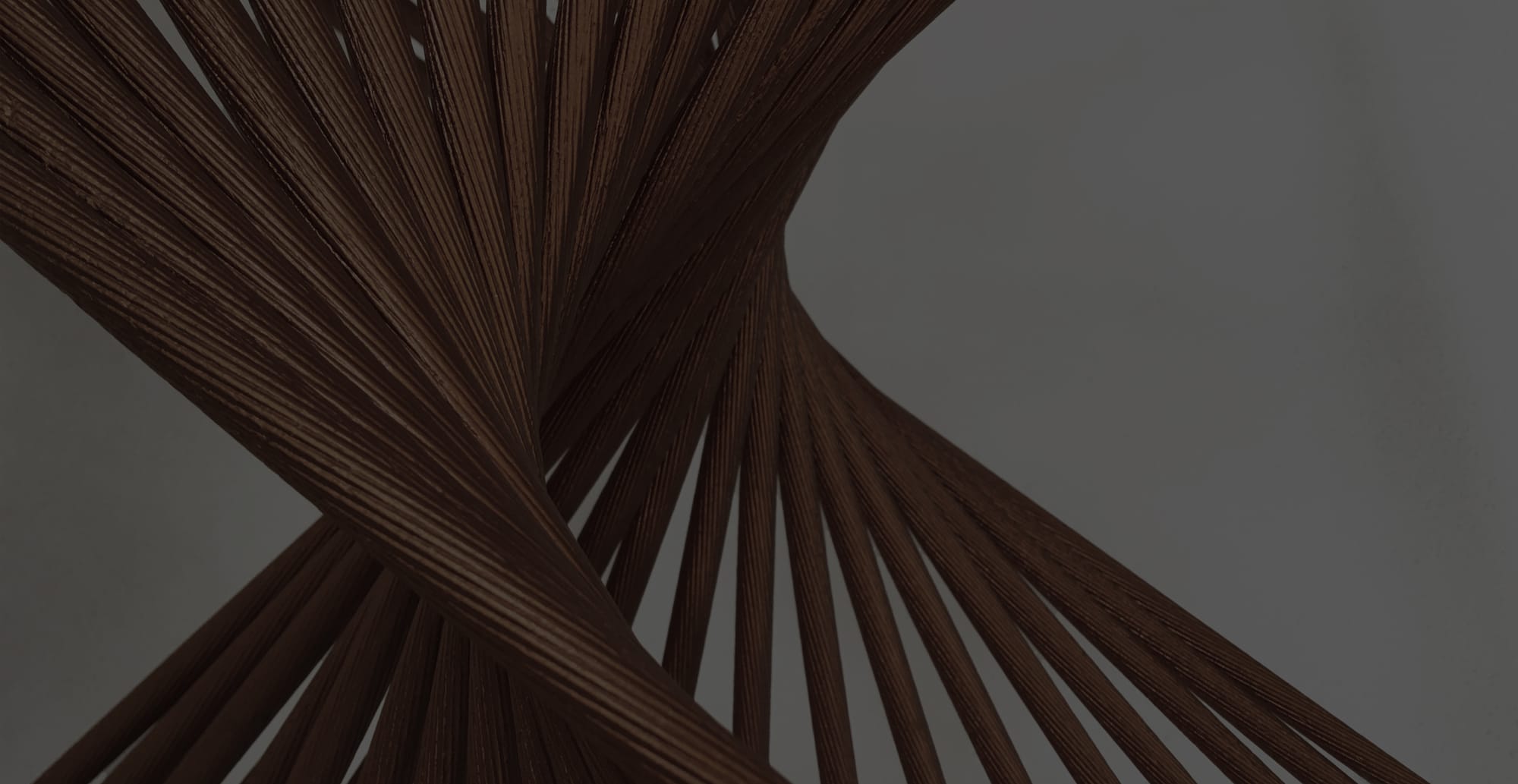 Detail of a fanned, twisting sculpture of slender dark wooden rods against a grey ground