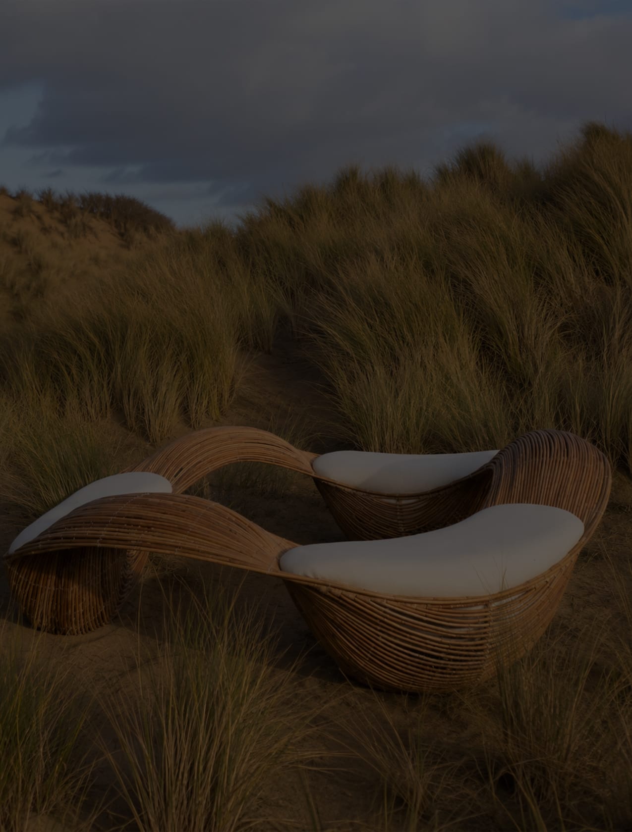 Sculptural woven rattan lounge chairs with pale cushions set among coastal dune grass at dusk