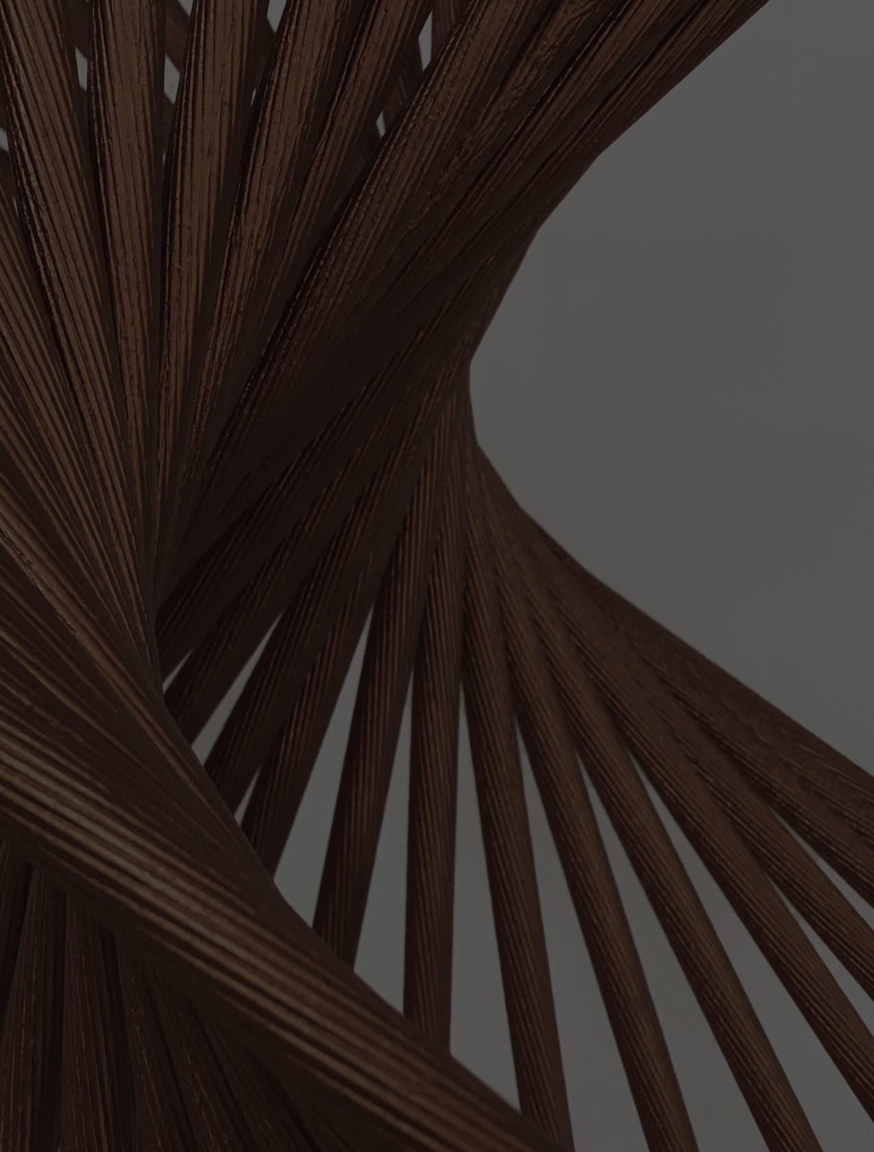 Detail of a fanned, twisting sculpture of slender dark wooden rods against a grey ground